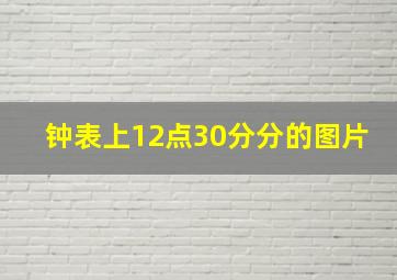 钟表上12点30分分的图片