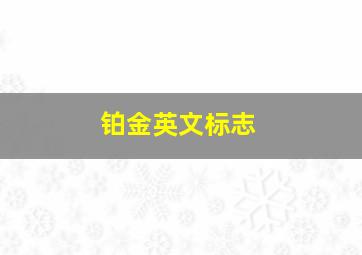 铂金英文标志