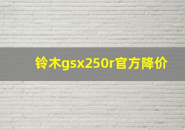 铃木gsx250r官方降价