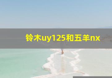 铃木uy125和五羊nx