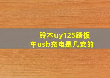 铃木uy125踏板车usb充电是几安的