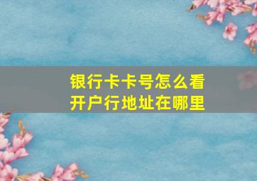 银行卡卡号怎么看开户行地址在哪里