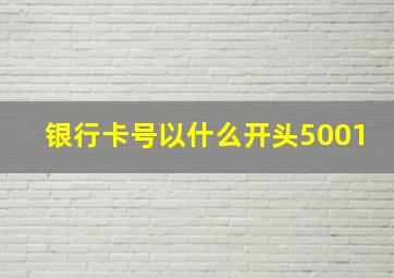 银行卡号以什么开头5001