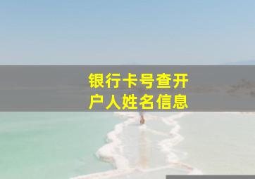 银行卡号查开户人姓名信息