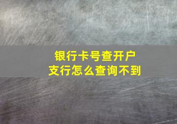 银行卡号查开户支行怎么查询不到