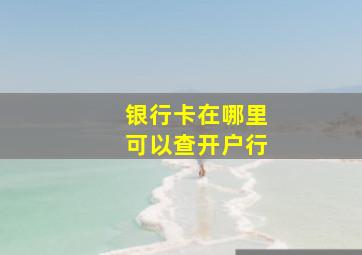 银行卡在哪里可以查开户行