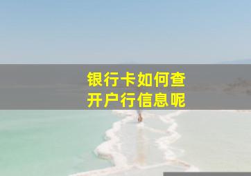 银行卡如何查开户行信息呢