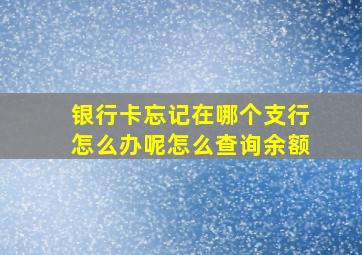 银行卡忘记在哪个支行怎么办呢怎么查询余额