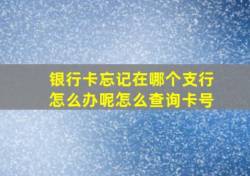 银行卡忘记在哪个支行怎么办呢怎么查询卡号