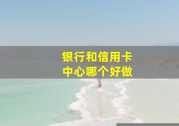 银行和信用卡中心哪个好做