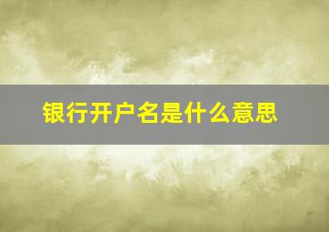 银行开户名是什么意思