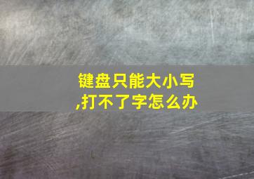 键盘只能大小写,打不了字怎么办