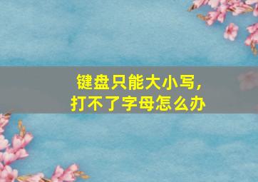 键盘只能大小写,打不了字母怎么办