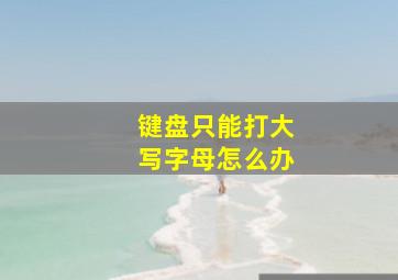 键盘只能打大写字母怎么办