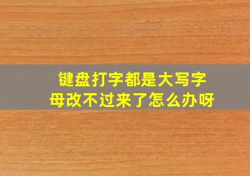 键盘打字都是大写字母改不过来了怎么办呀