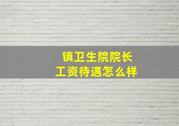 镇卫生院院长工资待遇怎么样