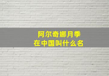 阿尔奇娜月季在中国叫什么名