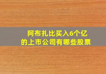 阿布扎比买入6个亿的上市公司有哪些股票