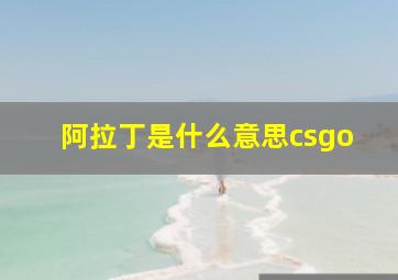 阿拉丁是什么意思csgo