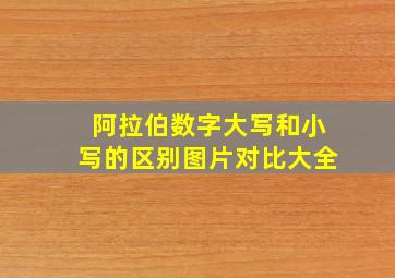 阿拉伯数字大写和小写的区别图片对比大全