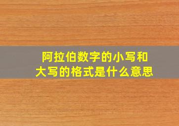 阿拉伯数字的小写和大写的格式是什么意思