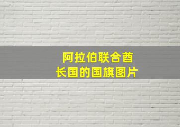 阿拉伯联合酋长国的国旗图片