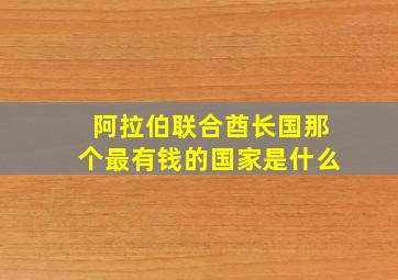 阿拉伯联合酋长国那个最有钱的国家是什么