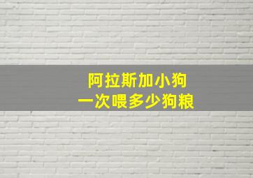 阿拉斯加小狗一次喂多少狗粮