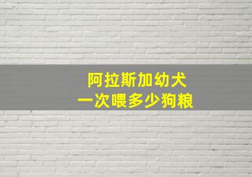 阿拉斯加幼犬一次喂多少狗粮