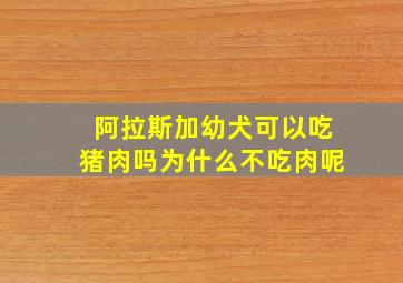 阿拉斯加幼犬可以吃猪肉吗为什么不吃肉呢