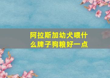 阿拉斯加幼犬喂什么牌子狗粮好一点