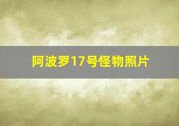 阿波罗17号怪物照片