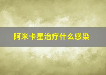 阿米卡星治疗什么感染