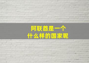 阿联酋是一个什么样的国家呢