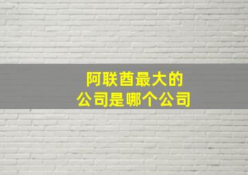 阿联酋最大的公司是哪个公司