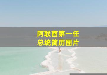 阿联酋第一任总统简历图片