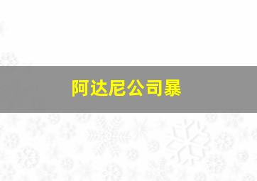 阿达尼公司暴