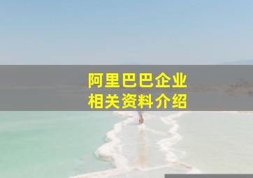 阿里巴巴企业相关资料介绍