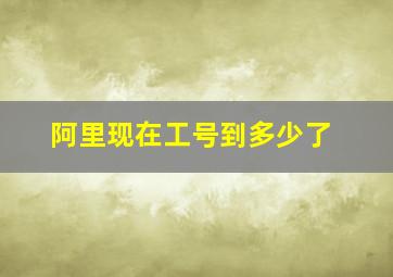 阿里现在工号到多少了