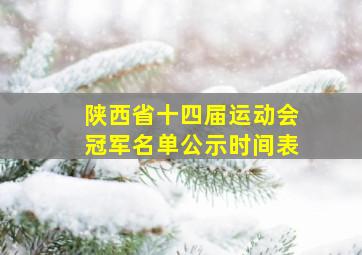 陕西省十四届运动会冠军名单公示时间表