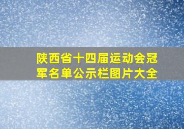 陕西省十四届运动会冠军名单公示栏图片大全