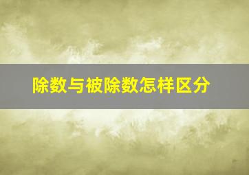 除数与被除数怎样区分