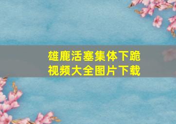 雄鹿活塞集体下跪视频大全图片下载