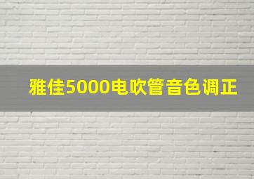 雅佳5000电吹管音色调正