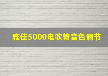 雅佳5000电吹管音色调节