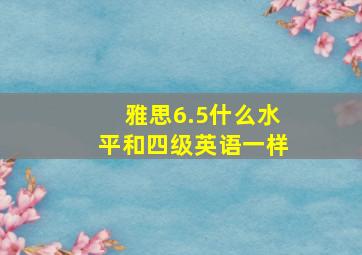 雅思6.5什么水平和四级英语一样