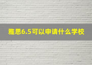 雅思6.5可以申请什么学校