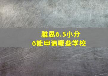 雅思6.5小分6能申请哪些学校