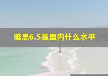 雅思6.5是国内什么水平