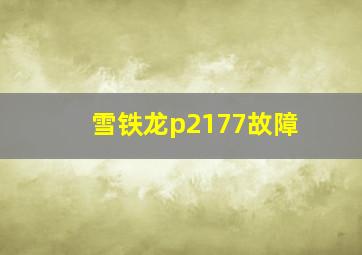 雪铁龙p2177故障